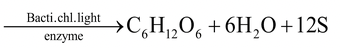 Animal Nutrition
